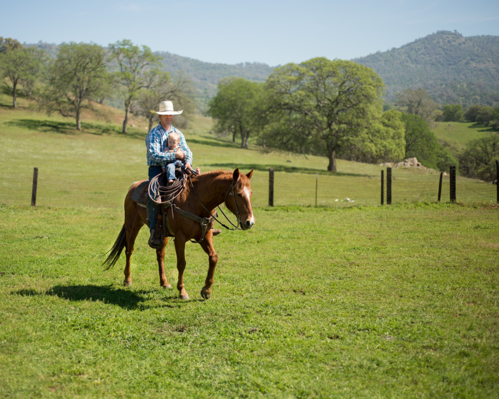 Gallery – Natural Beef for Your Family and Friends